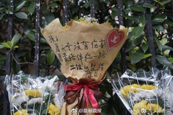 电讯报：纽卡曾召开危机会议，高层到主帅一致同意坚决留下伊萨克